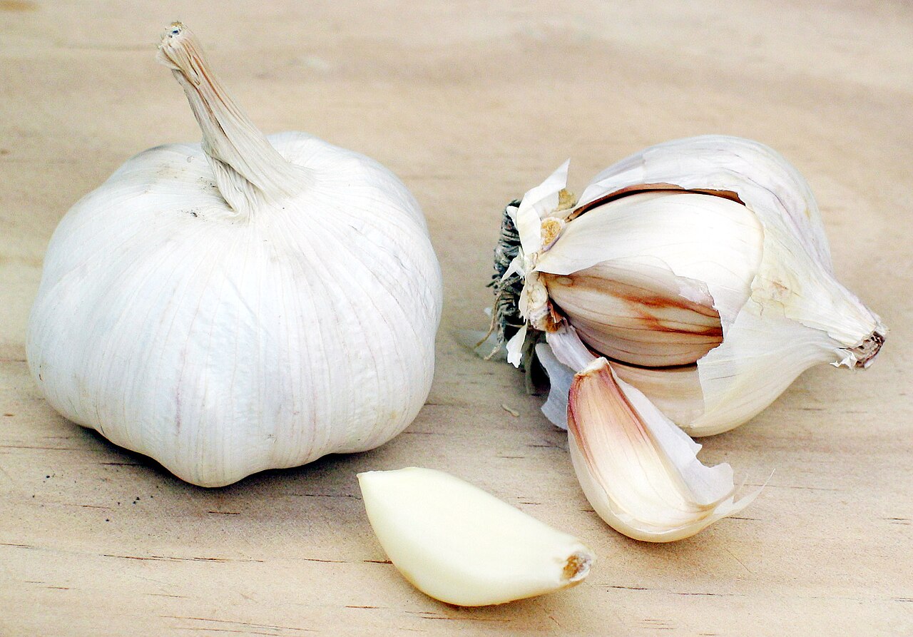 लहसुन का अर्क (Allium sativum)